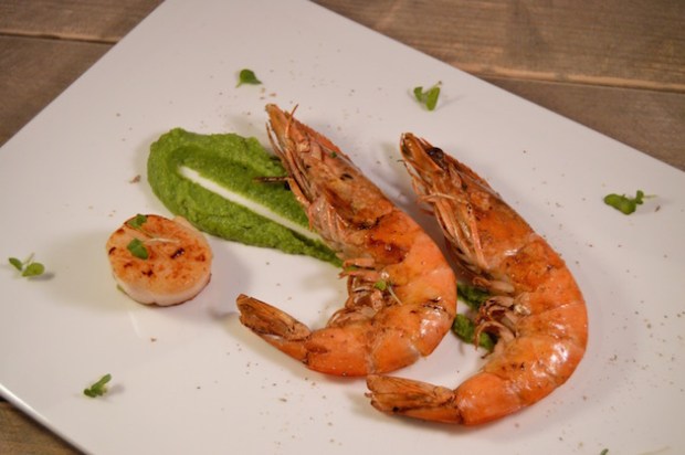 voorgerecht: coquille met gamba's en mousseline van doperwt & munt